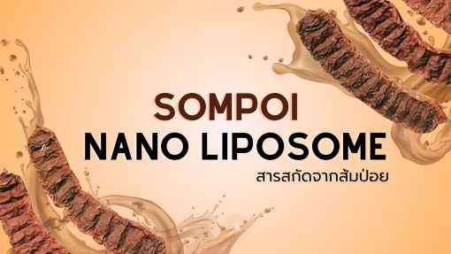 Sompoi Nano – Liposome